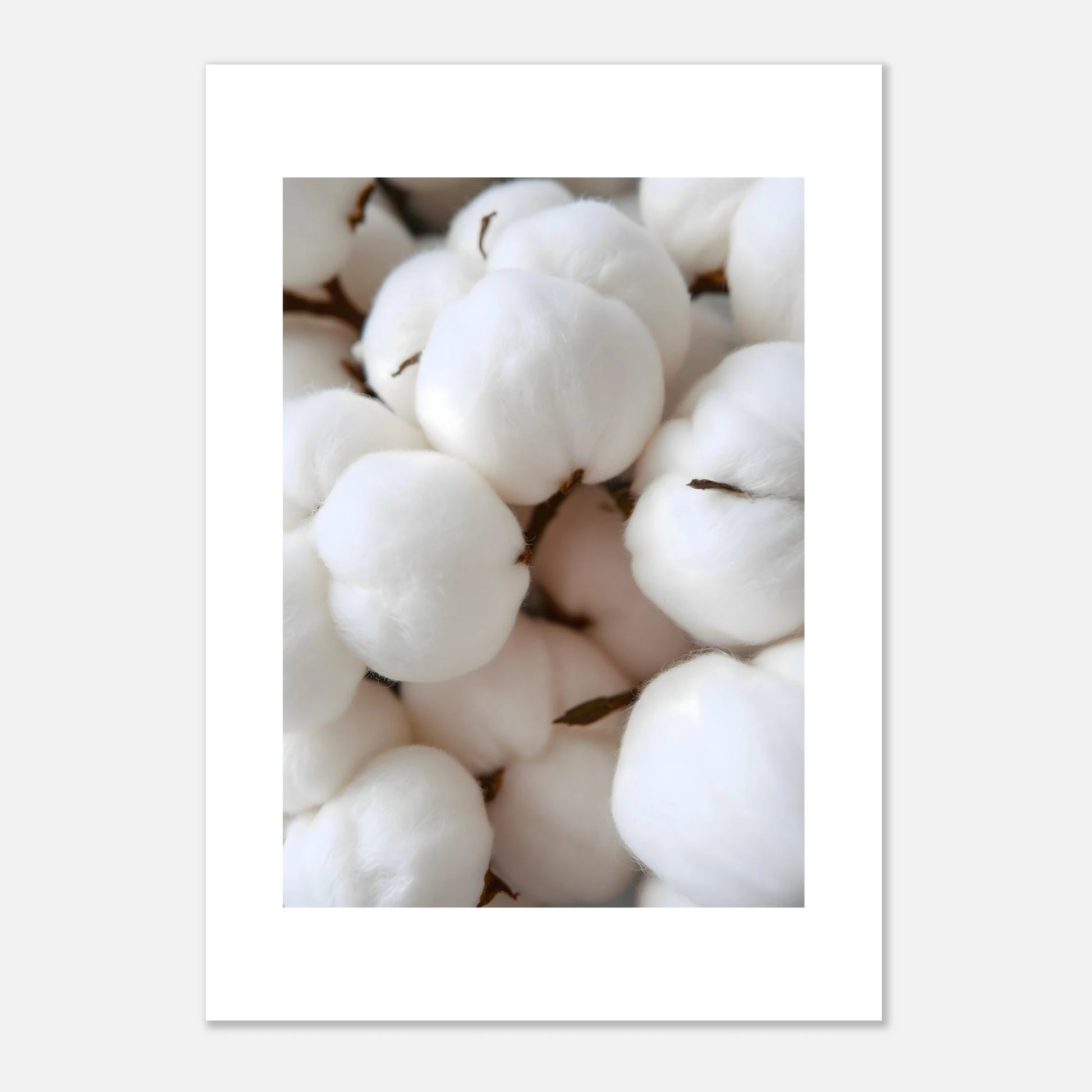 319b55ac-9b8b-4b6a-99e0-20dbe1afed4f