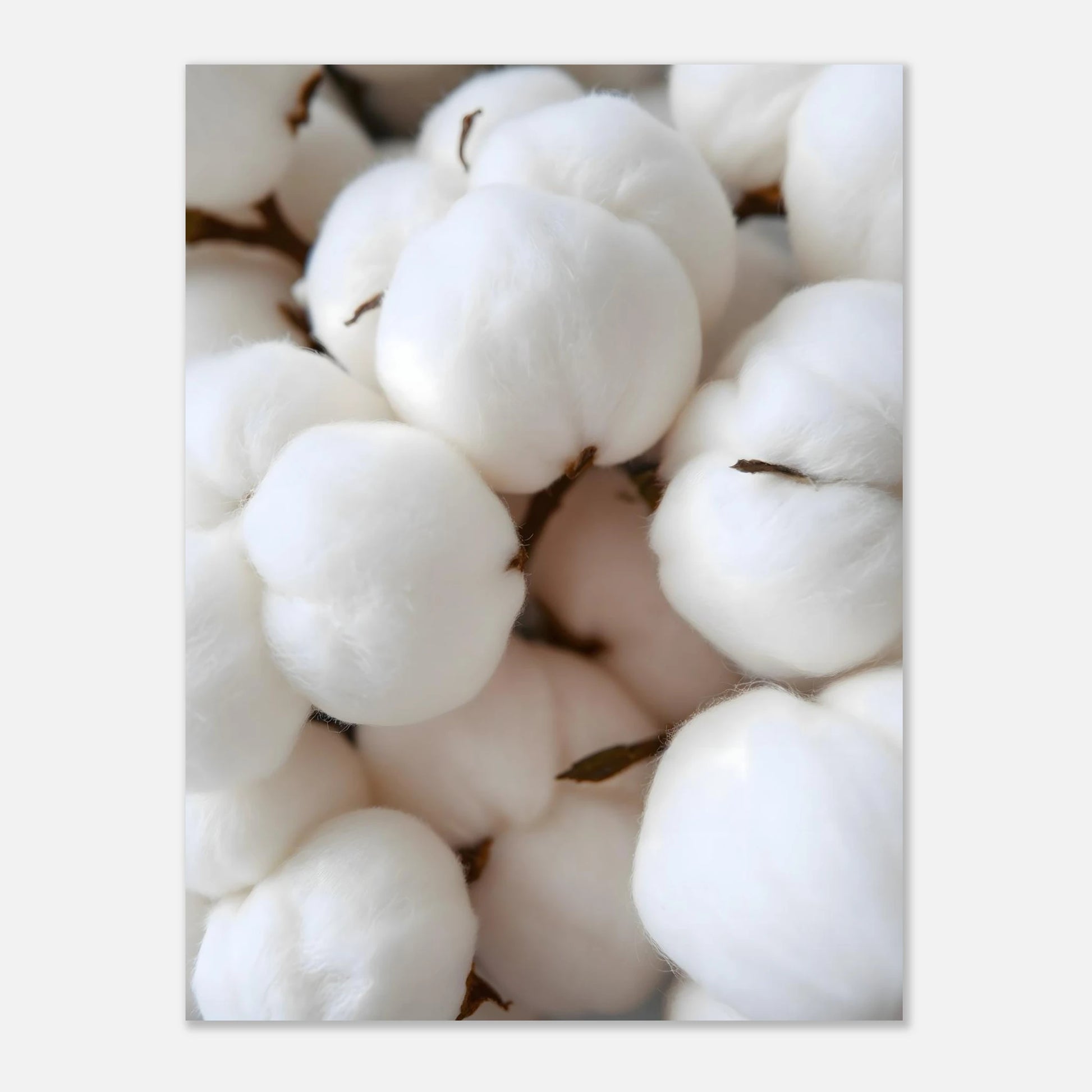 51d73497-631a-4899-a2d2-ba62be928e03