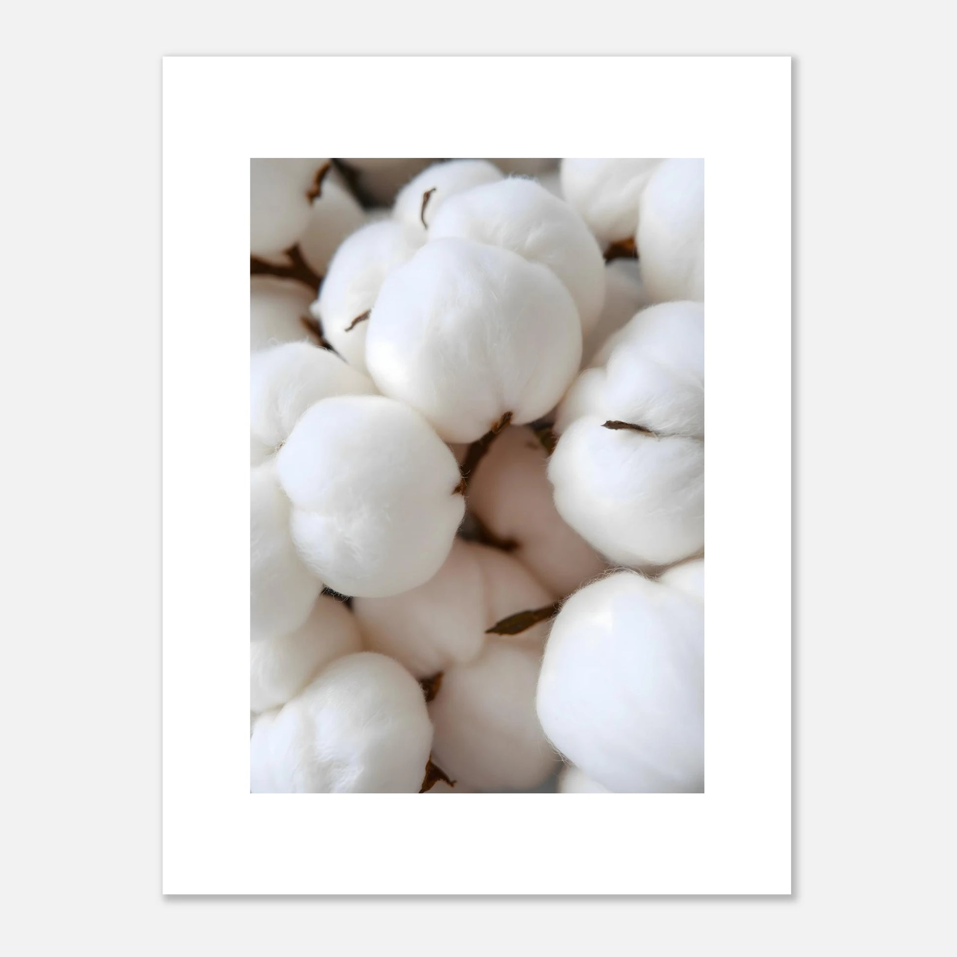 cc04d8c7-71ed-40a2-bde8-015b8ed88318