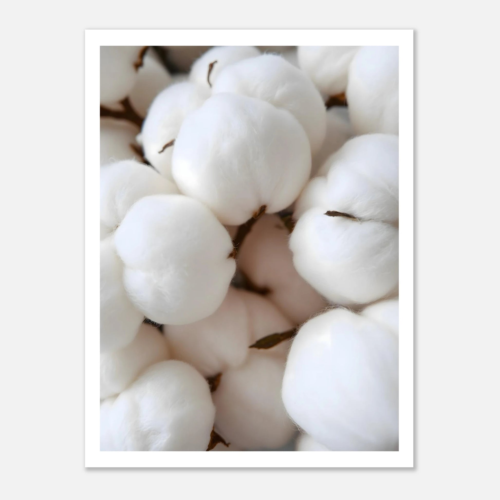 df2540d4-bf27-49ea-8786-8b7a8d8ec5d7