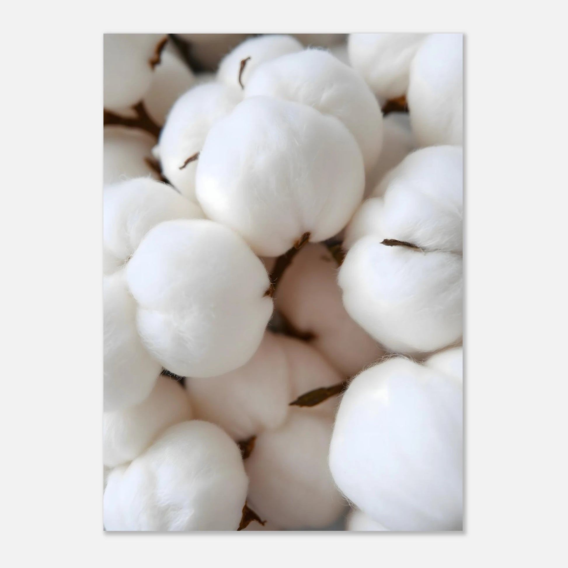 efb1bba3-2ec1-45bd-a637-b50f66490a35