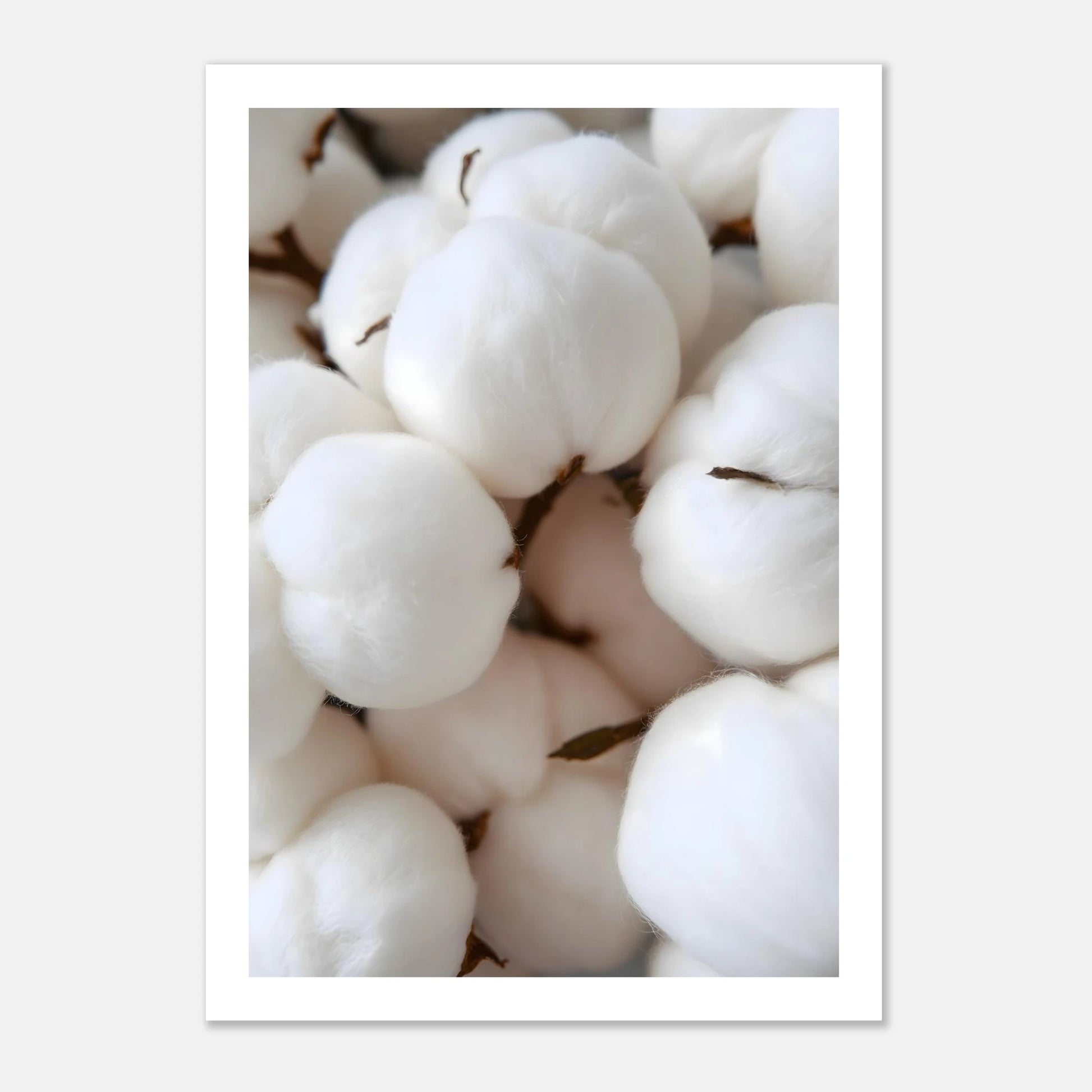 0cba9075-ff6c-4cf8-b80c-6b5d31c880fe