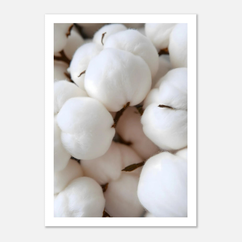 11792cfa-c10f-40cc-9394-6919bb118173