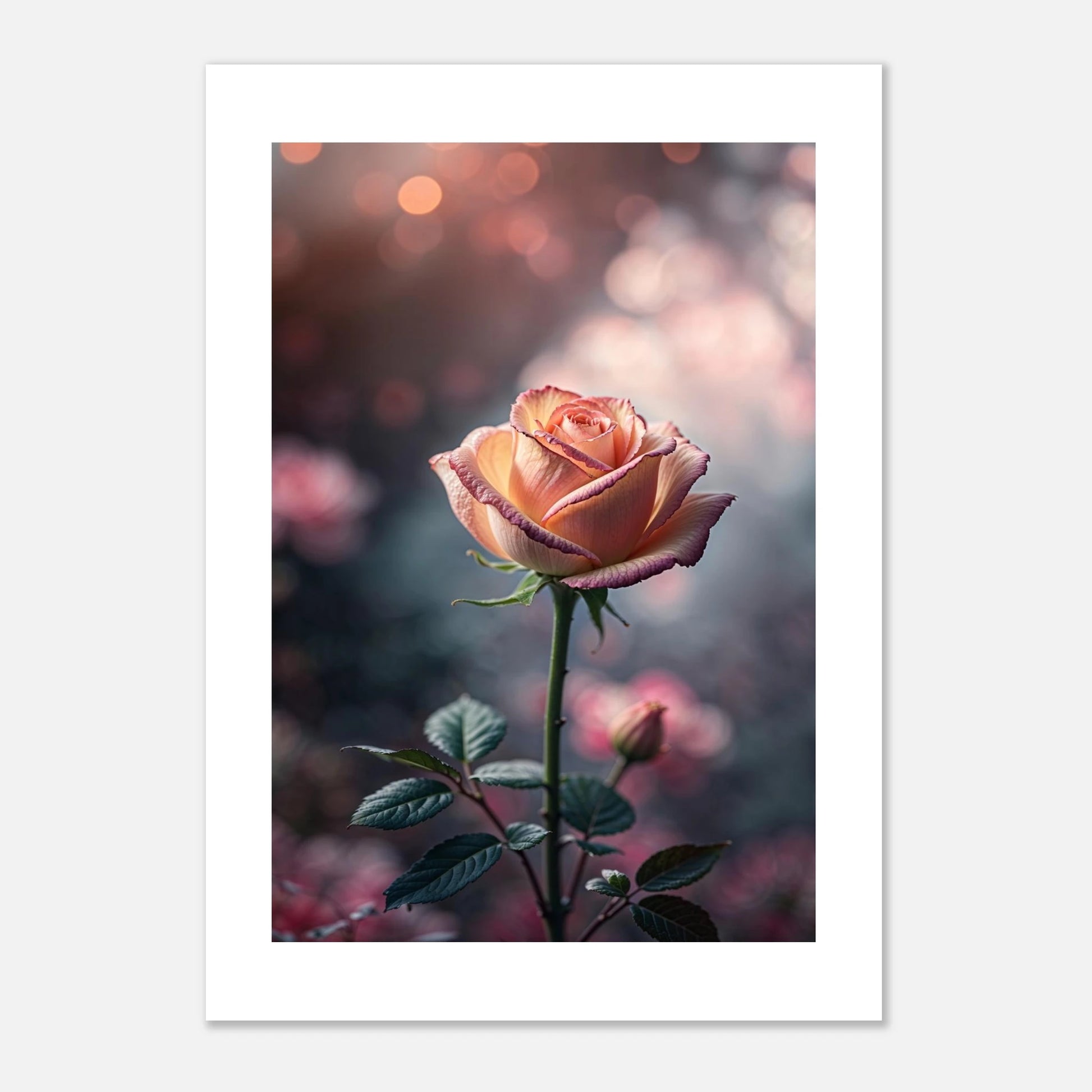 1c63d0fe-c3d7-4208-9eaa-18c8731603fd