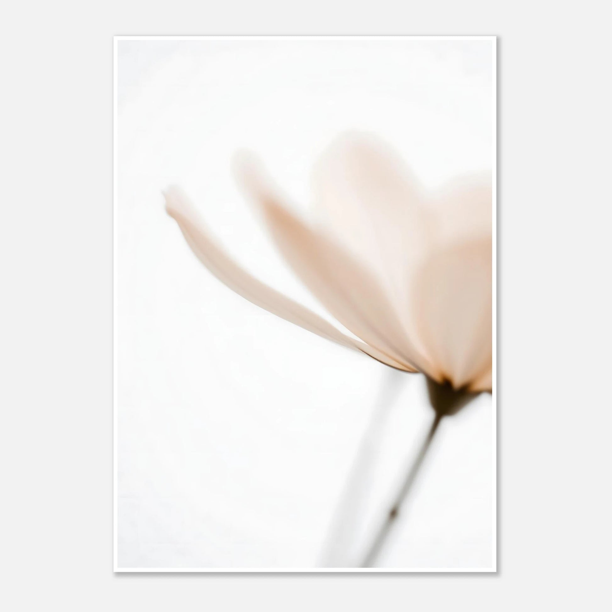 2ce39111-57cc-478e-9aab-a10b3bc70e39