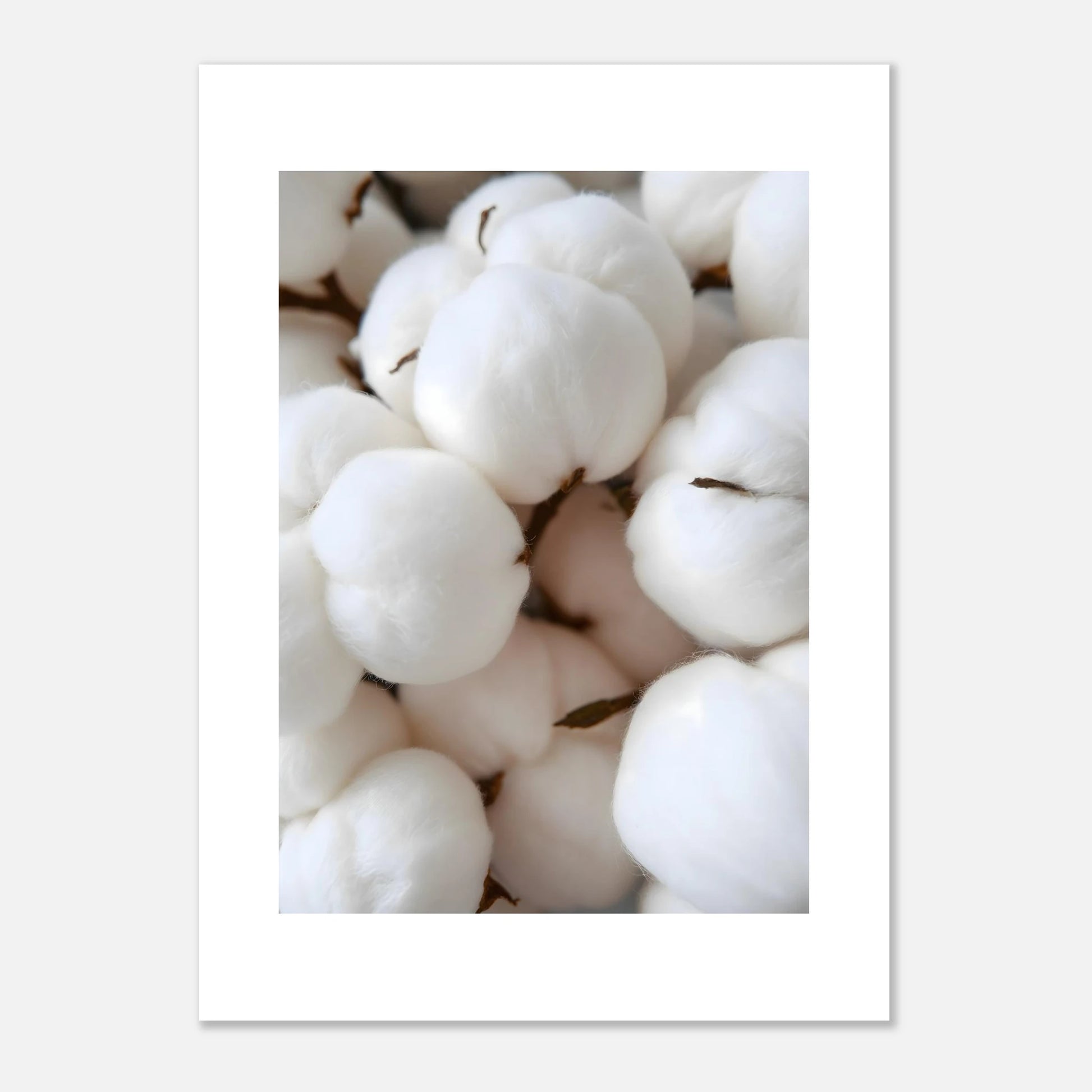 2d1ec6dd-a5b6-40c4-a1f3-2d0c36383c7e