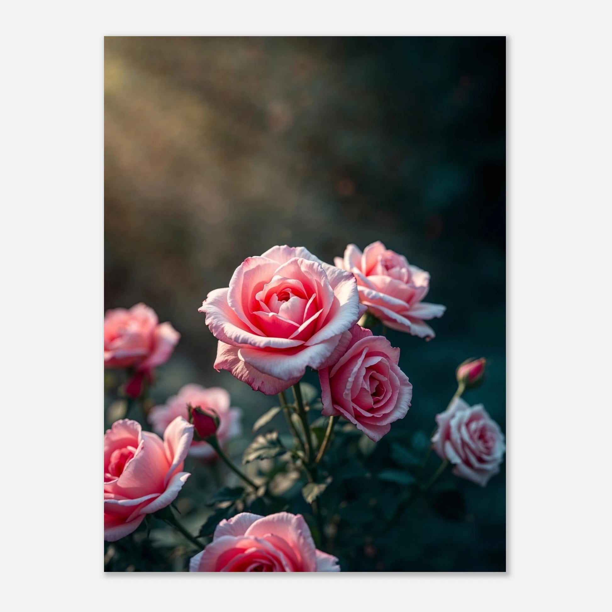 3887a1d1-9ffc-43cf-ab22-c554ee2358a5