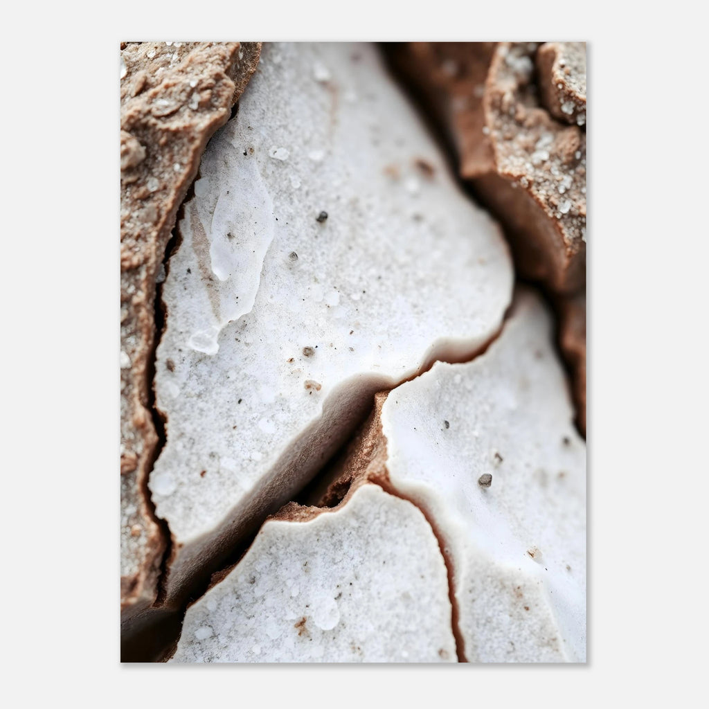 49dccbf7-6898-496d-9286-ea21cf37aceb