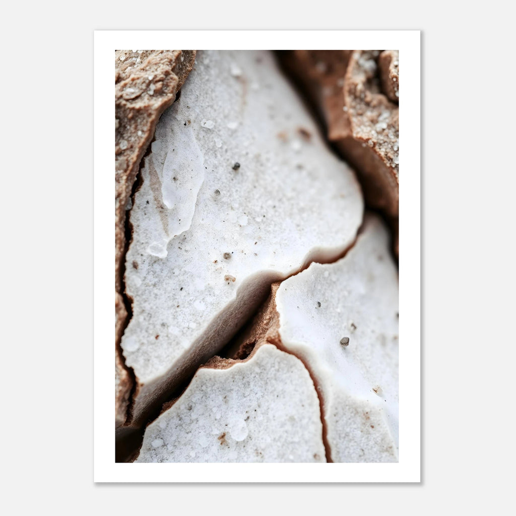 4a3e5a59-7274-4d88-a8d8-7d47f00d91a2