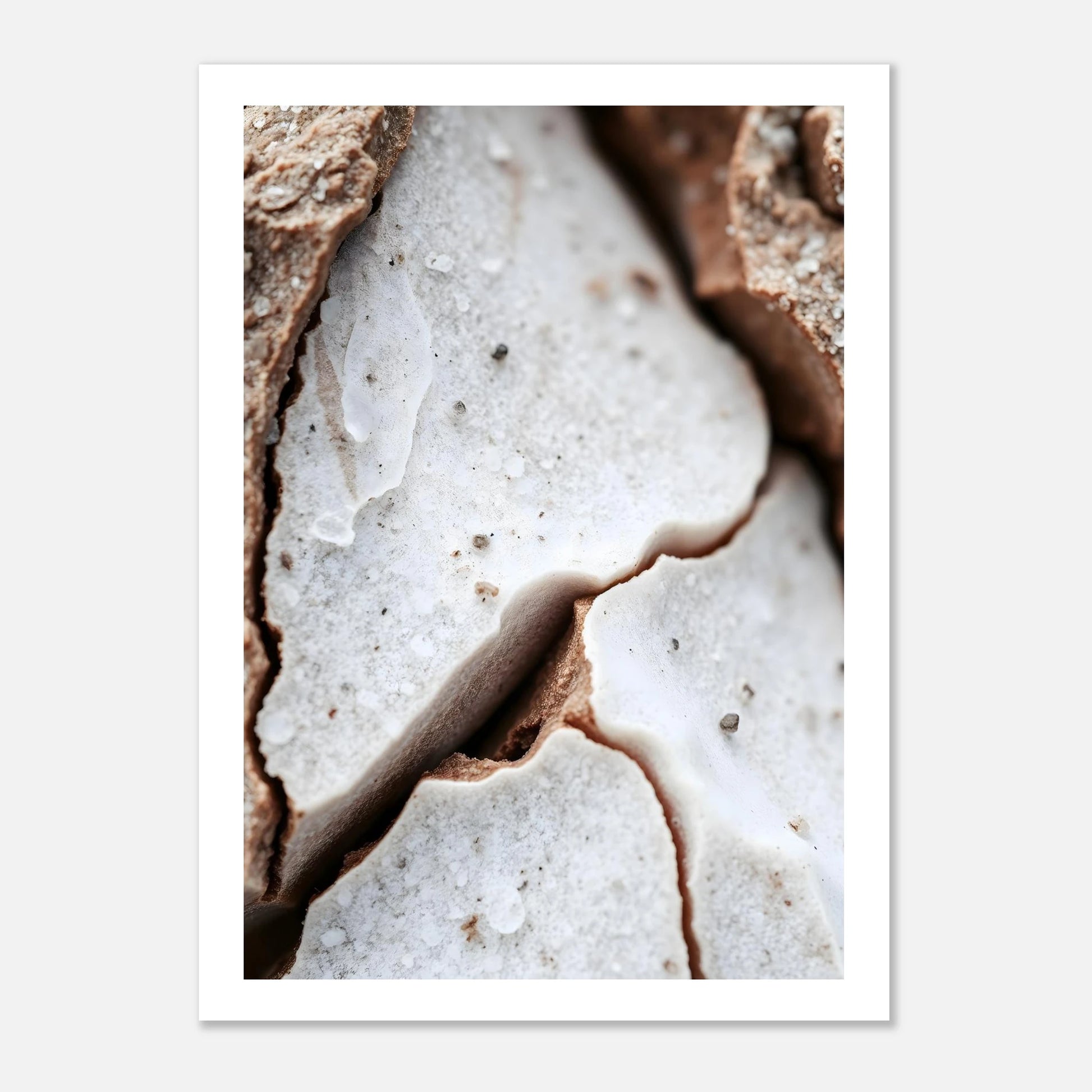 4a3e5a59-7274-4d88-a8d8-7d47f00d91a2