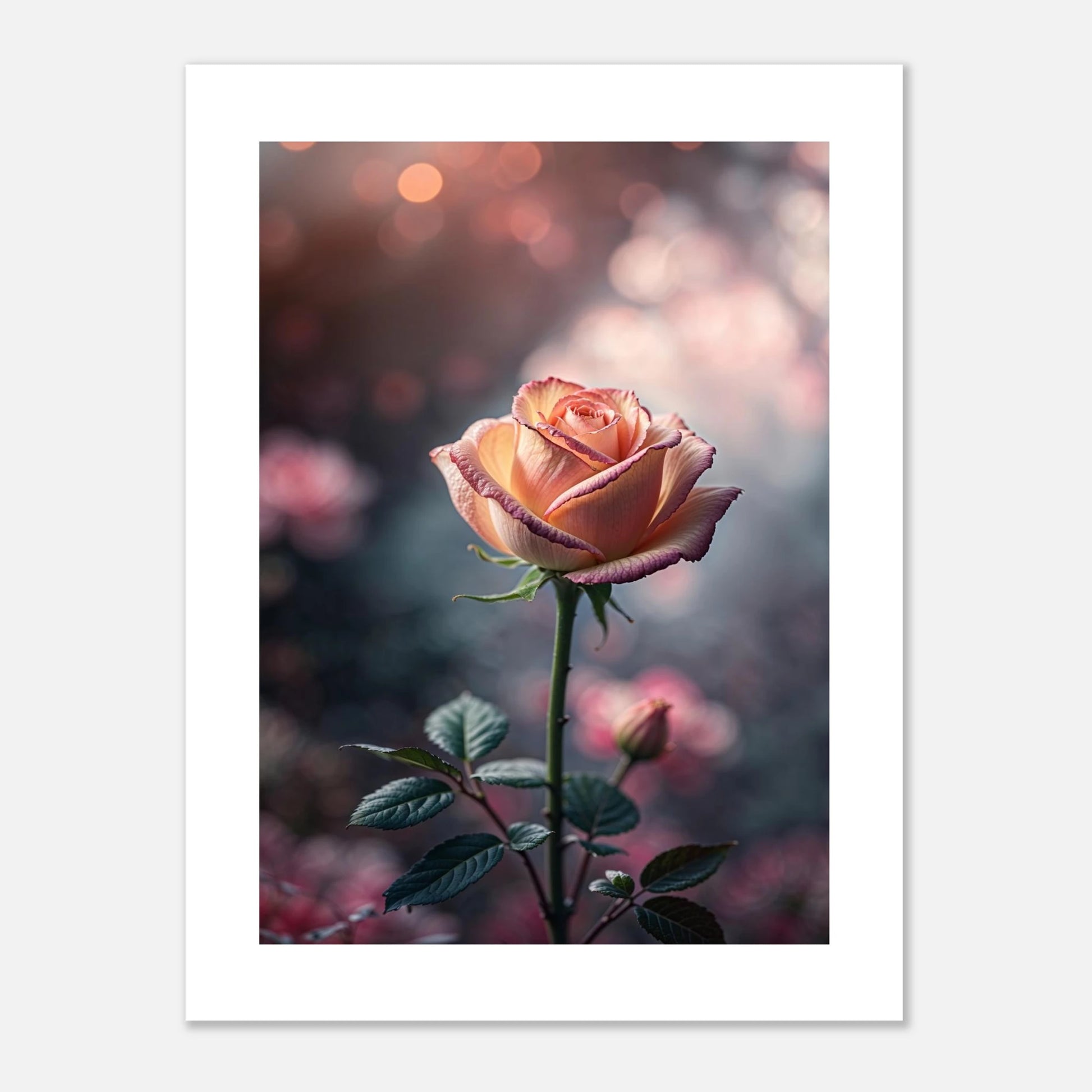 5084570a-3658-4167-9a1f-48b2df4be79a