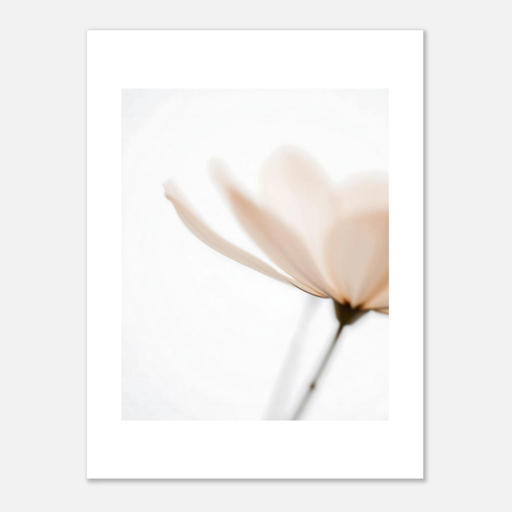 62fb7b31-cfe7-4569-815a-eca7aea670fd