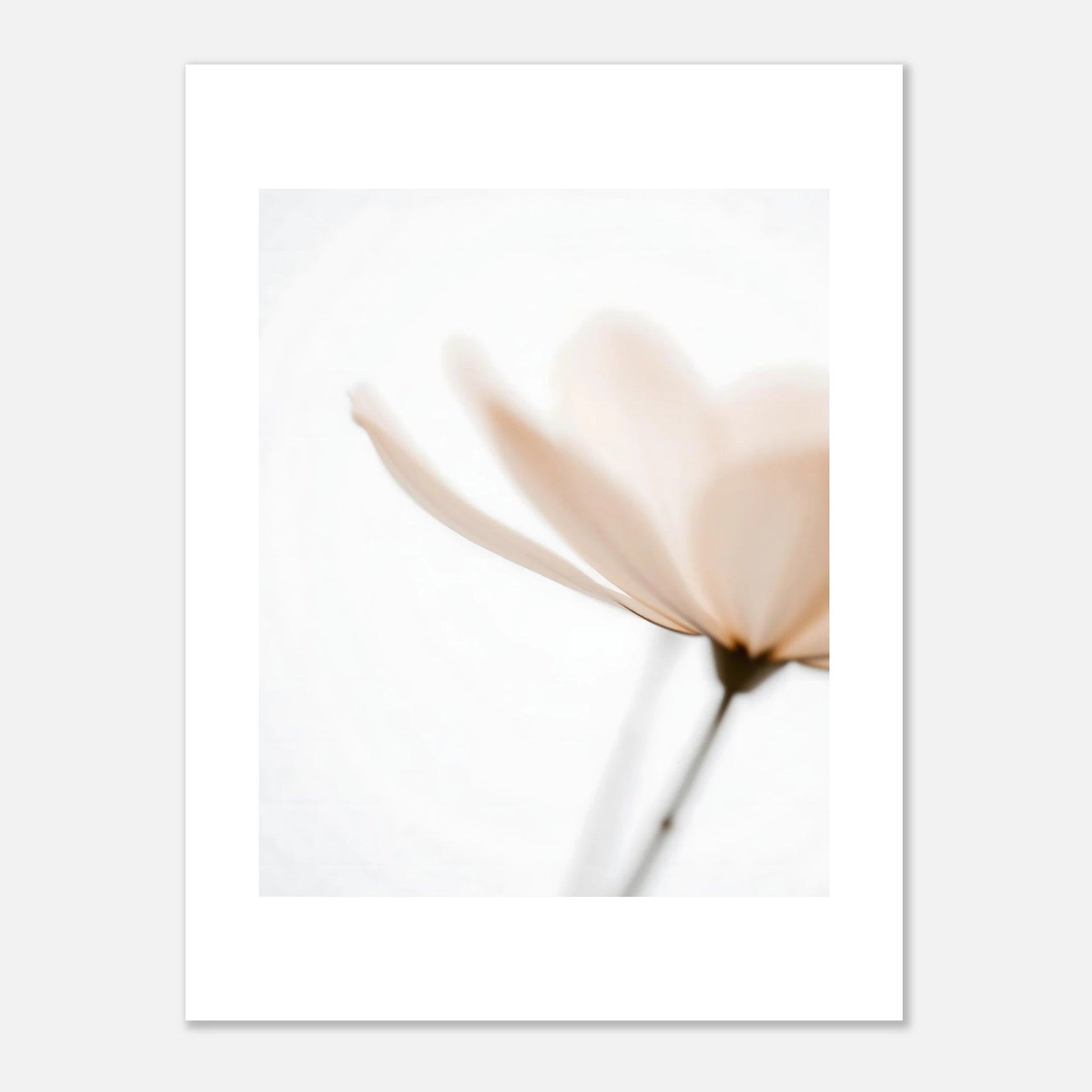 62fb7b31-cfe7-4569-815a-eca7aea670fd