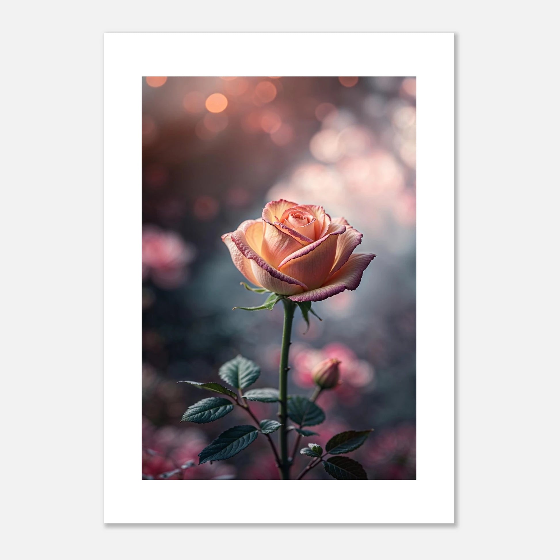 67d1c0e8-01a8-46e8-b833-2de82651c51b