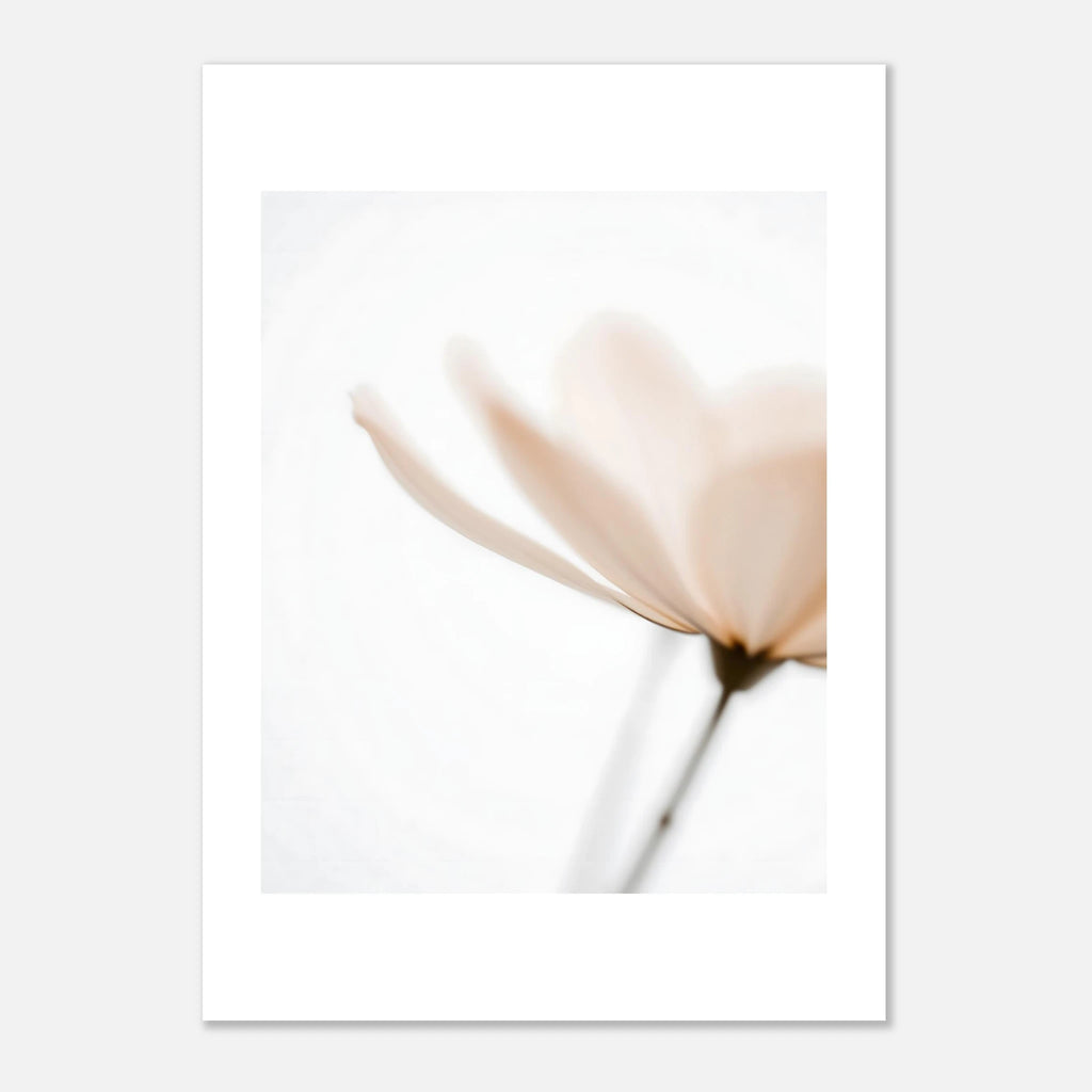 6eaa7a5b-350e-40c8-abab-9e3b92a85951