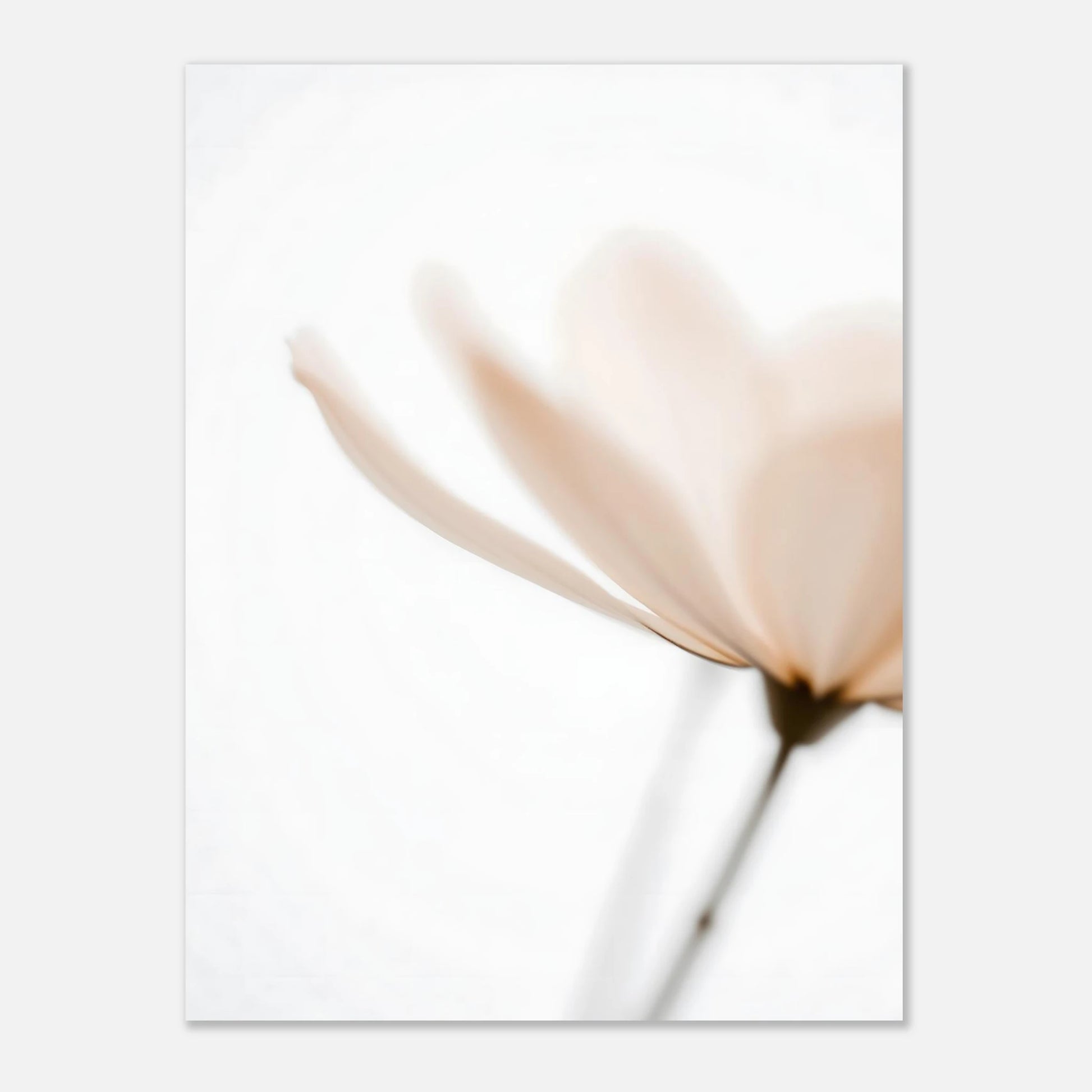 7f36bc8d-9f21-4e40-8dcf-5b1732269d9c