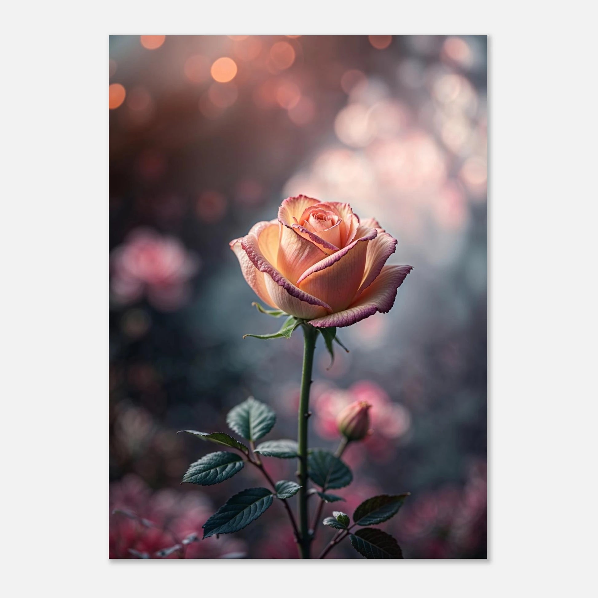 7fa9f672-fe74-4ba2-99ef-49c9f7833ac9