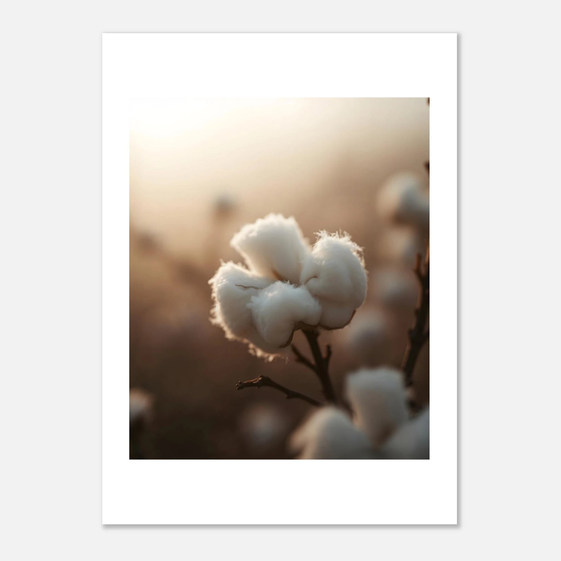 aa6bcbf8-4df0-46bf-8d62-a77678776d13