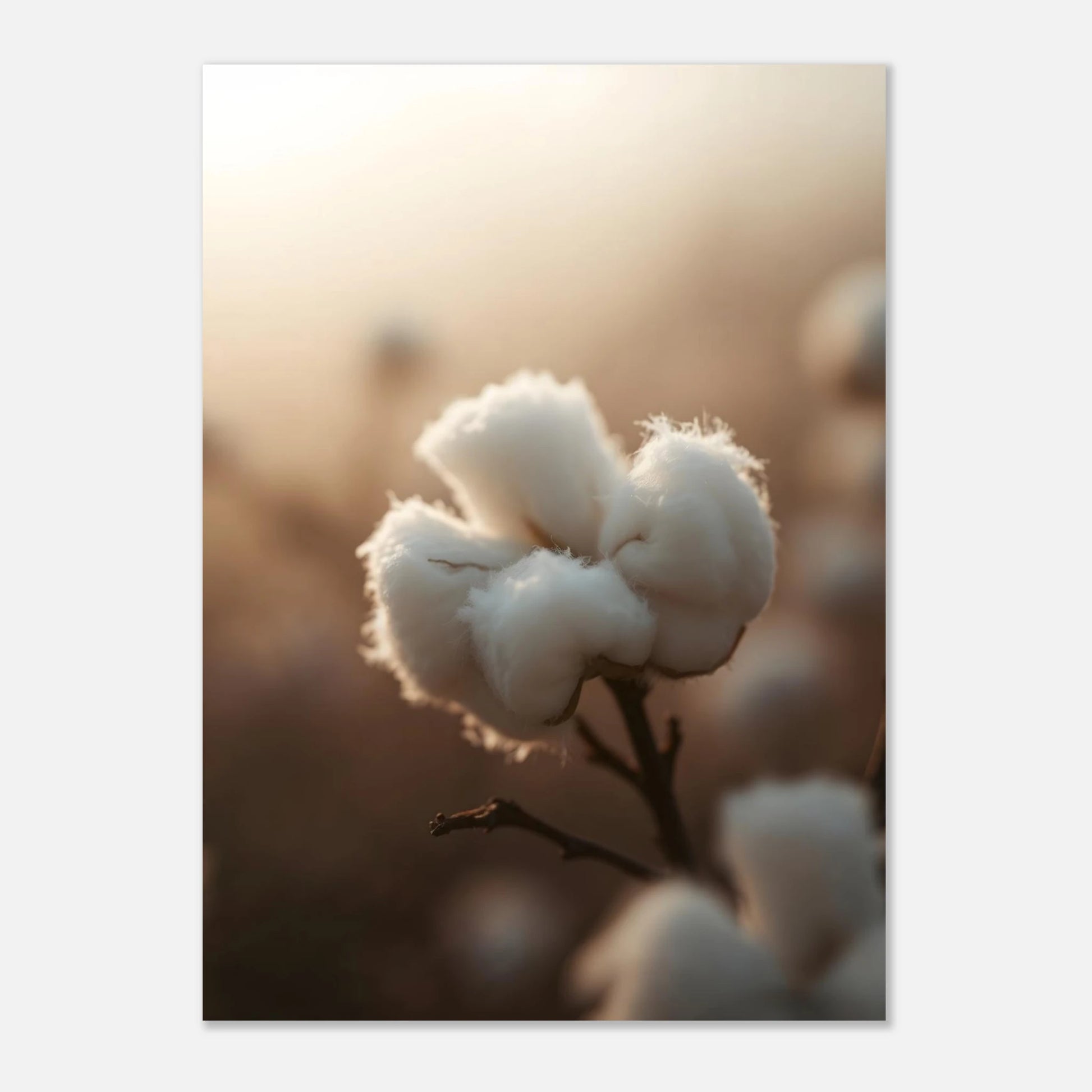 ab7afa2c-9da4-4acd-8908-03c1fa316e56