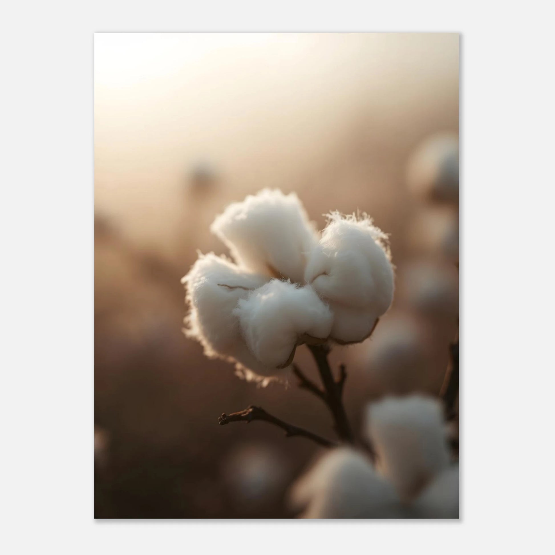 b0de1748-0c87-4120-abce-35e4c75dd126