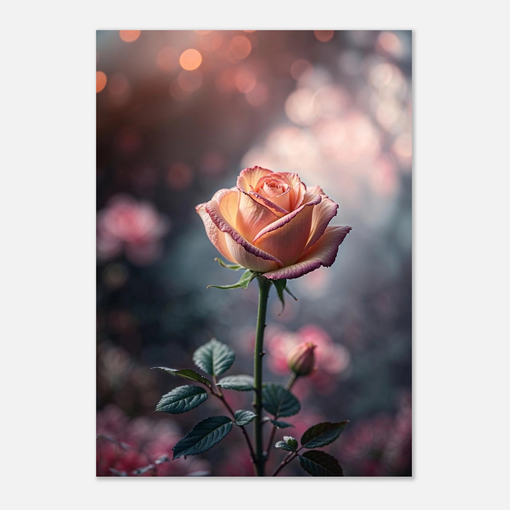 b174fa8d-0493-4ff5-83e1-14e7a03192eb