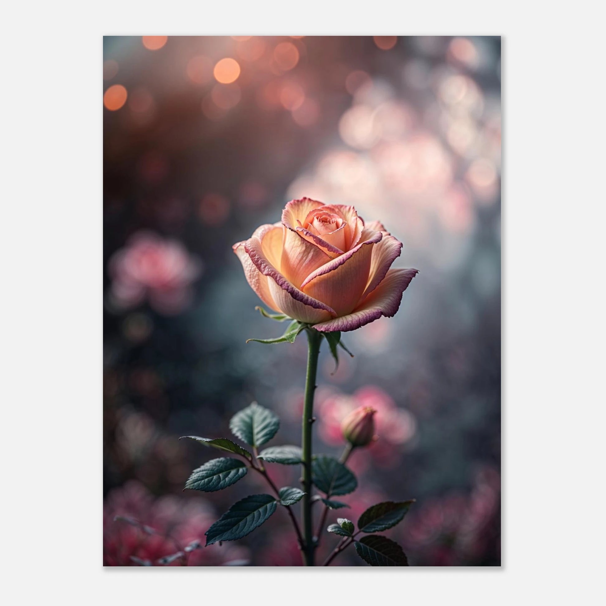 b5db3804-5a0b-4d86-8881-c9389b2e5f18