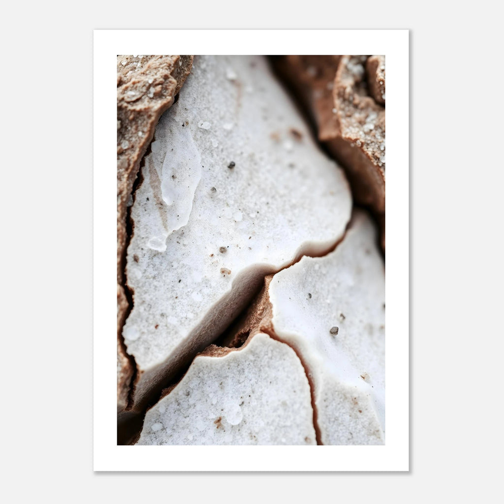 cee6d21a-62f7-4006-995c-51f0f258c6c2