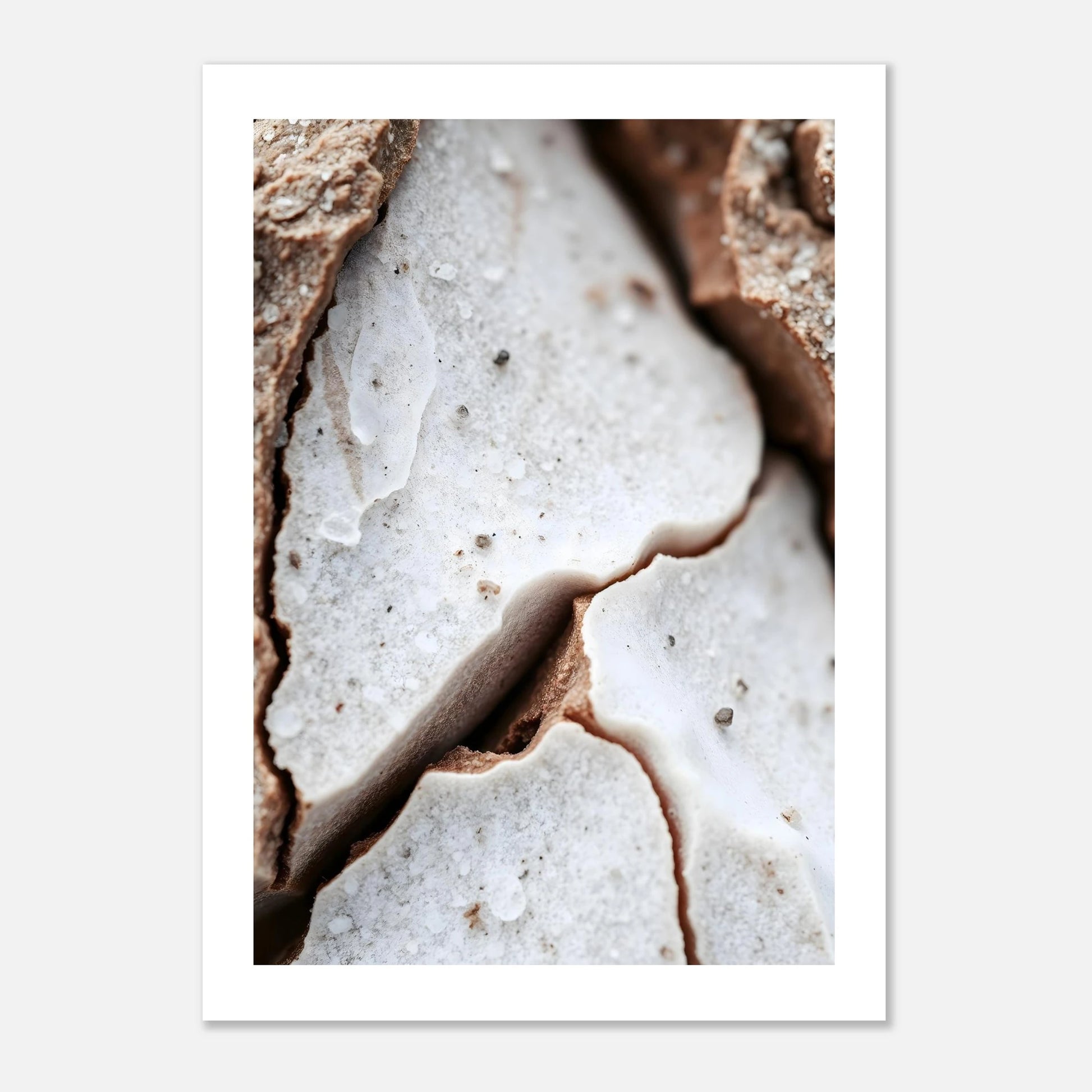 cee6d21a-62f7-4006-995c-51f0f258c6c2