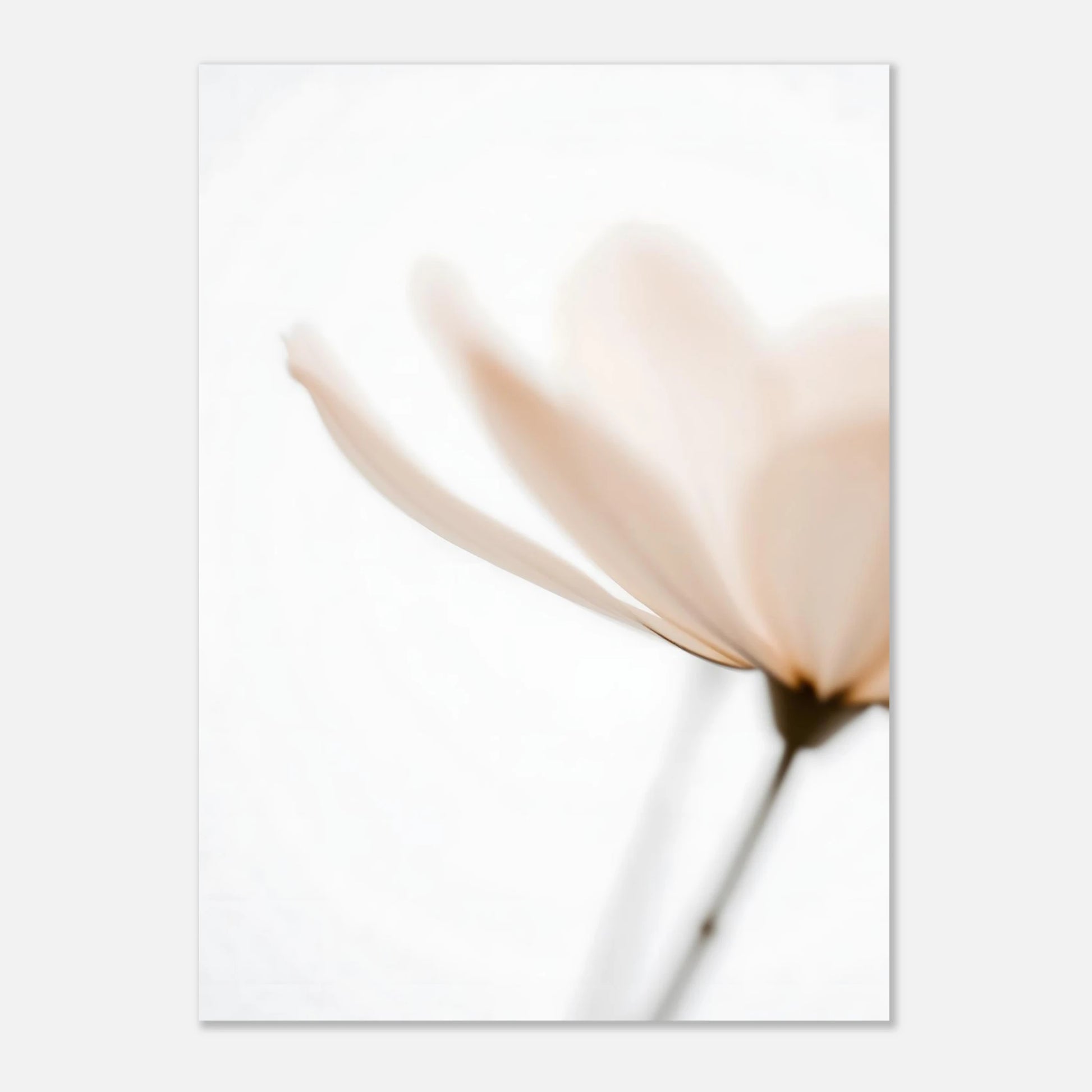 d03ac14c-7d2d-4e14-ac76-891929d3afb6