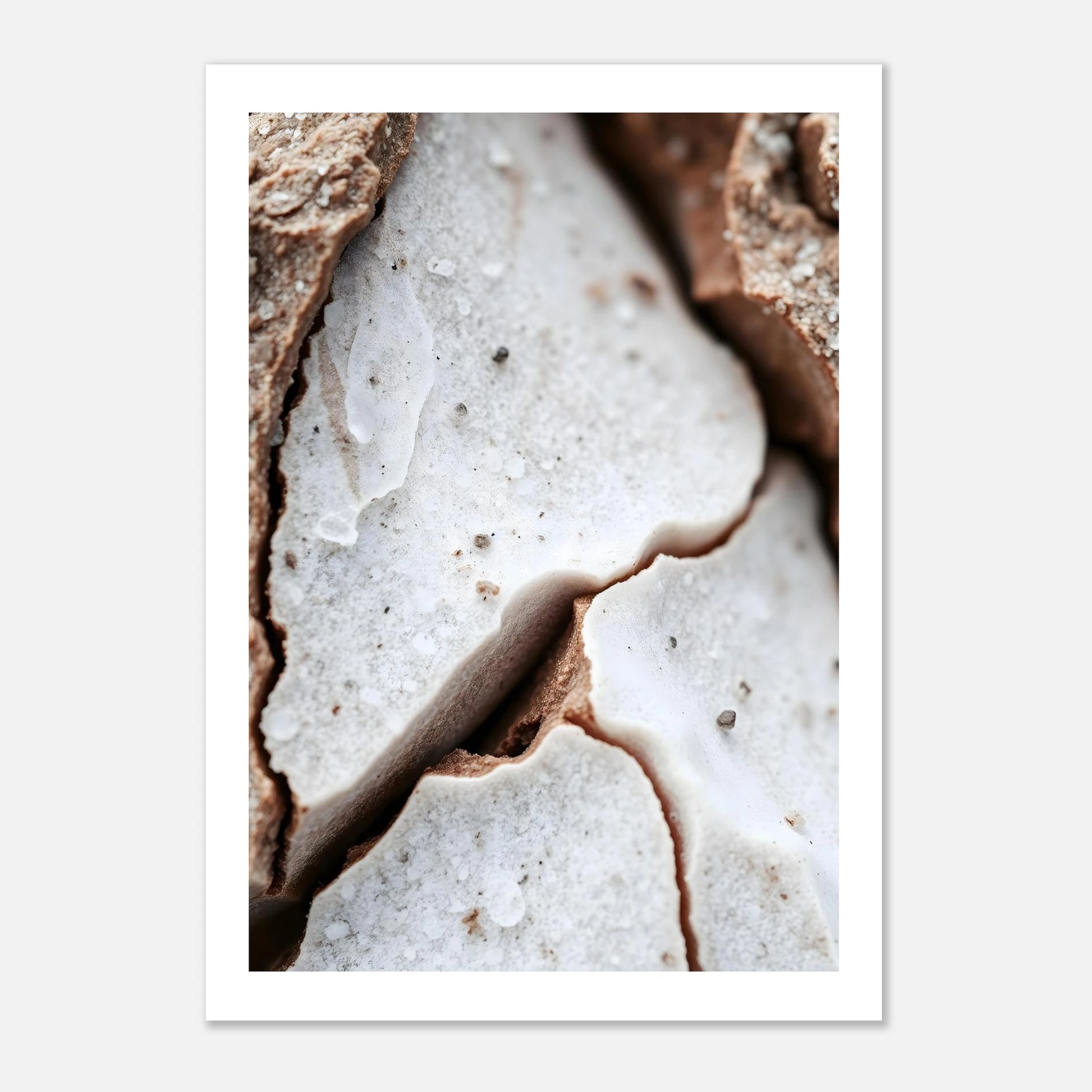 d1327d3f-061a-4c8f-891e-1a30837613eb