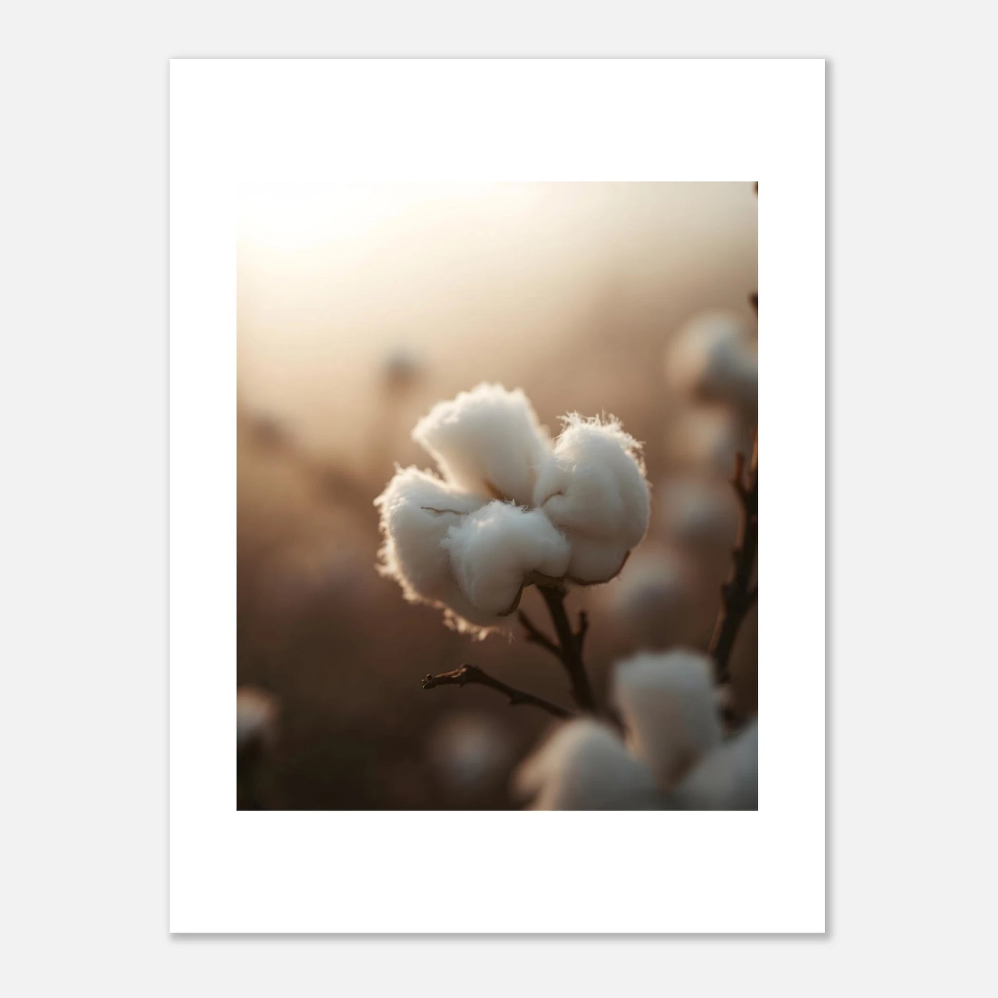 e23987bd-fbdc-4aa5-b86a-777cacf6aca6