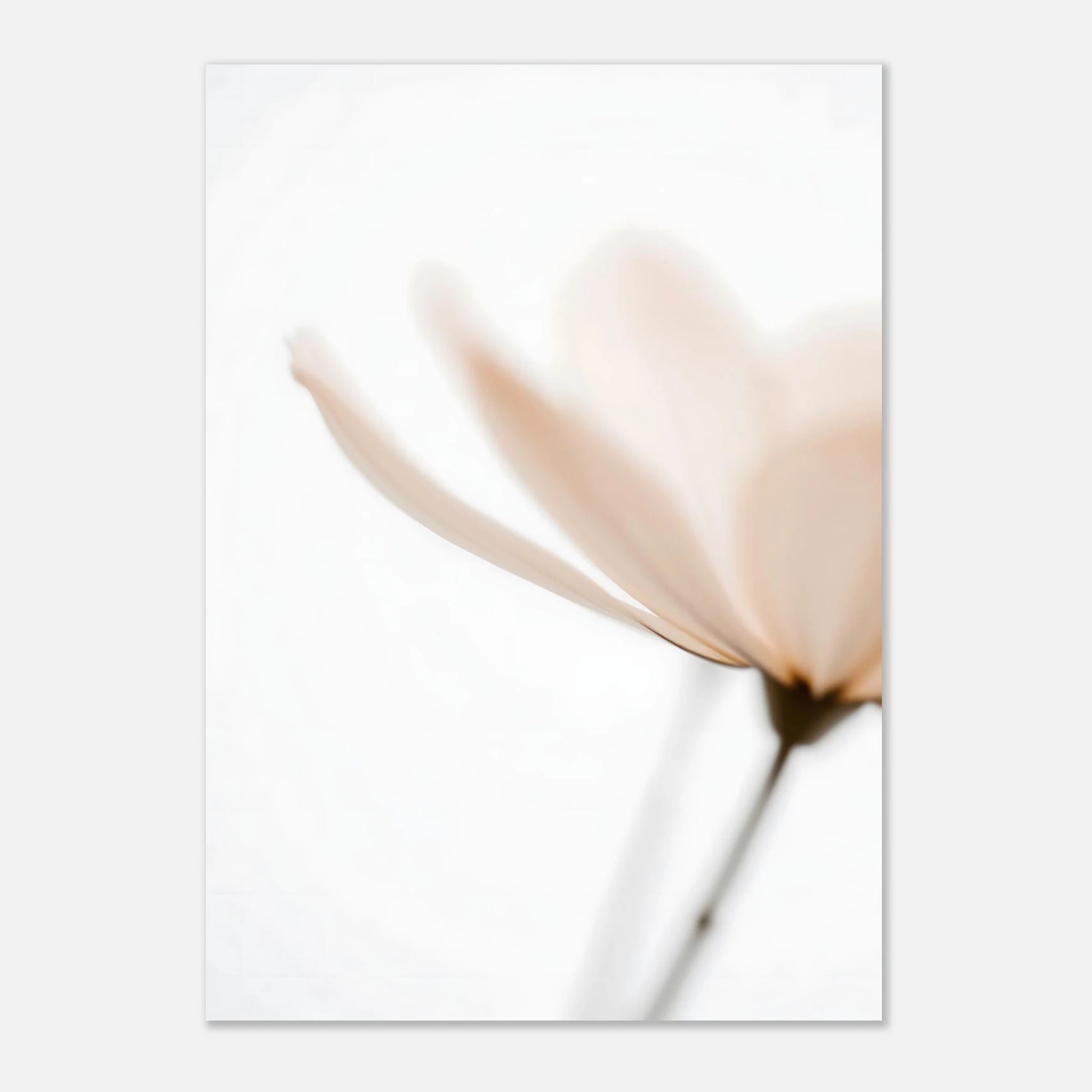 ec8b993f-fcc7-402a-ac16-87e2d737b476