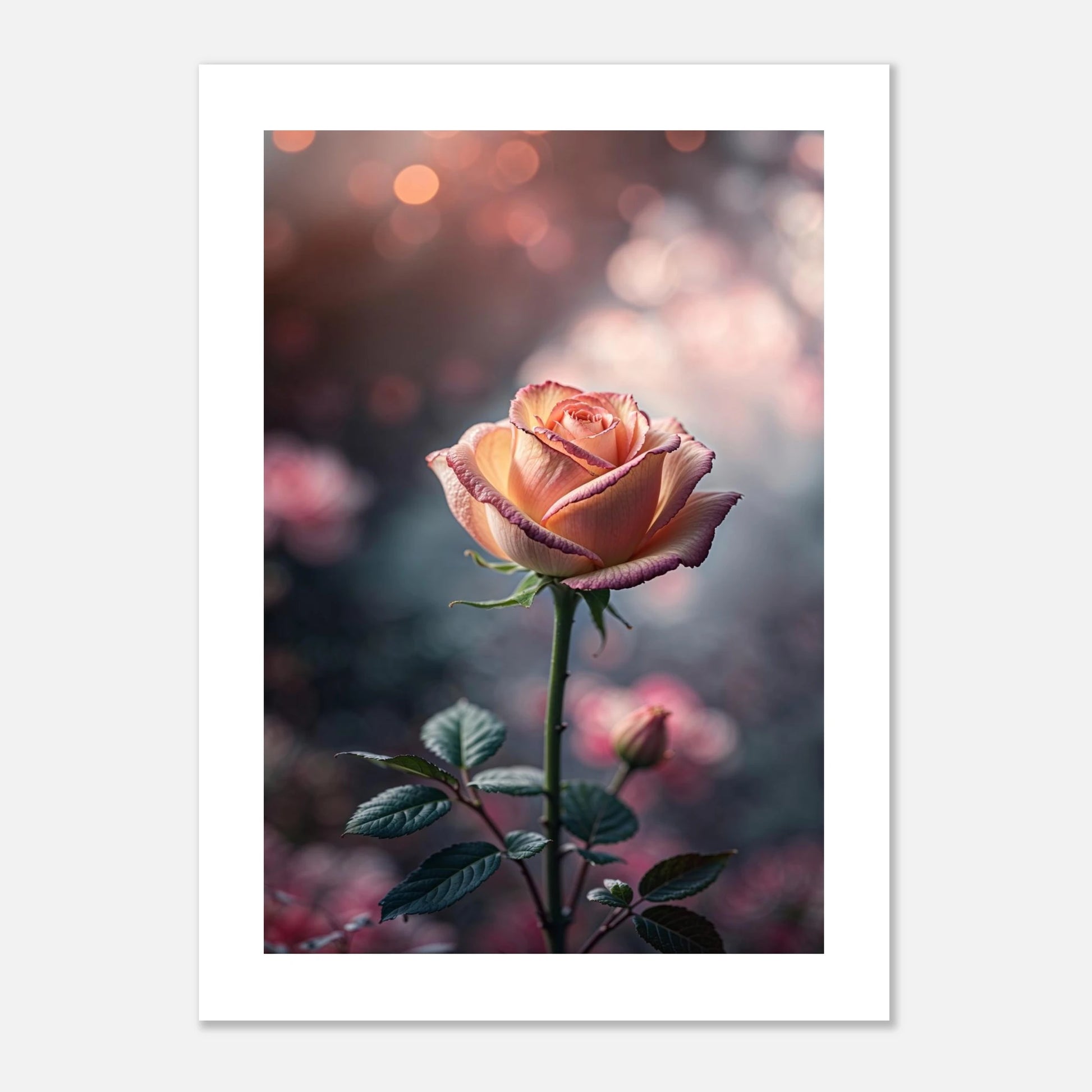 eeaed50c-919e-4678-b05b-d12ad19d1590