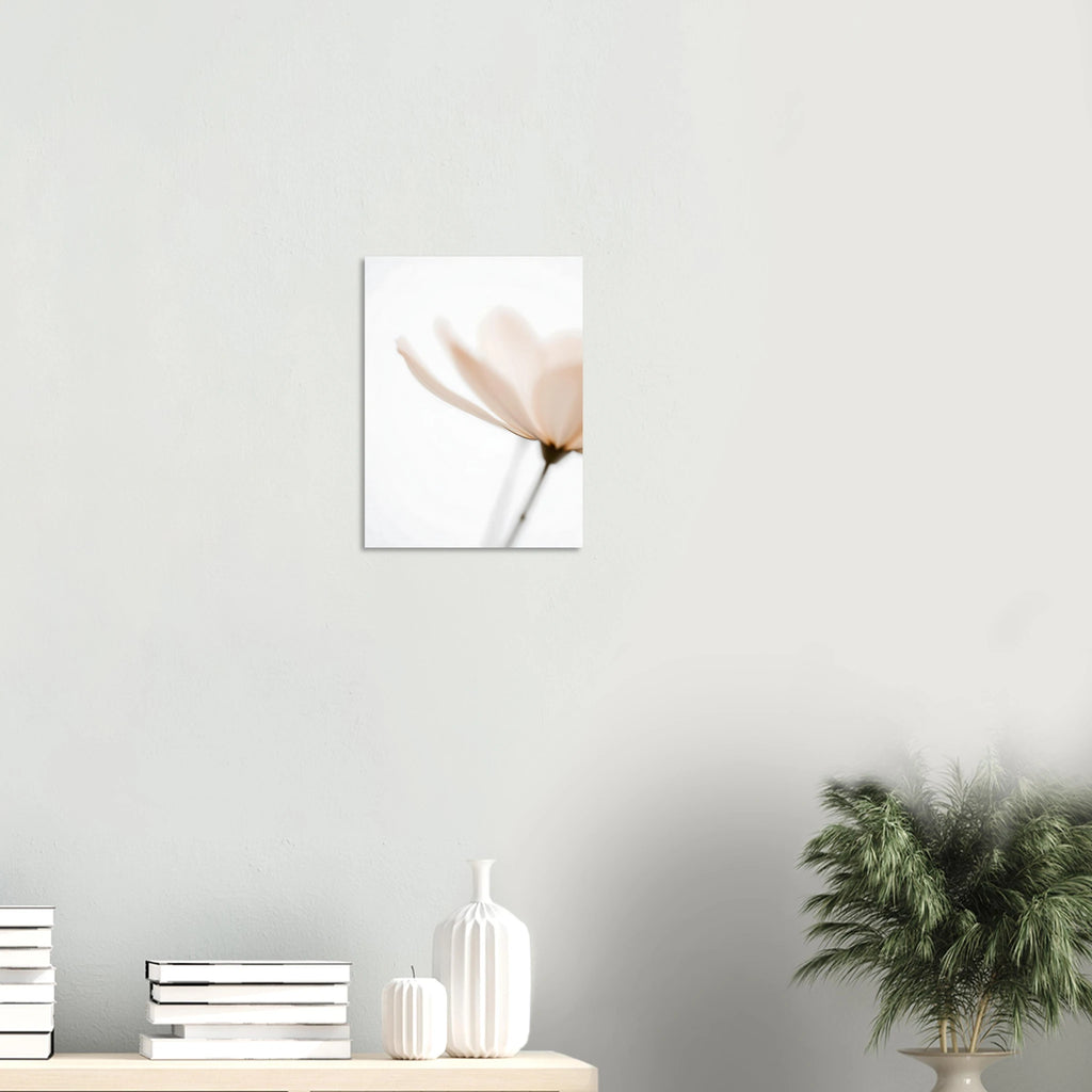 fb01c8f9-225d-4662-8949-e9616ed5224c